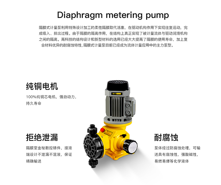 DJ-Z機械驅動隔膜計量泵